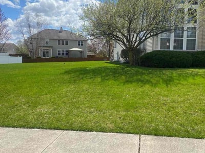 Lawn care service in Plainfield, 60544