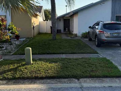 Lawn care service in Tampa, 33624