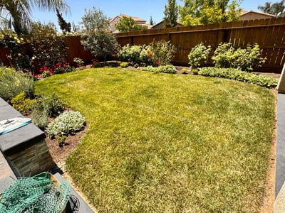 Lawn care service in Clovis, 93619