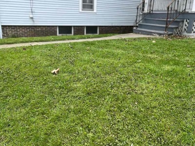 Lawn care service in Syracuse, 13206