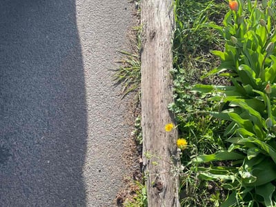 Lawn care service in , 