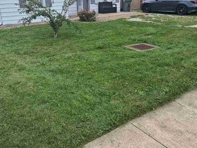 Lawn care service in Youngstown, 44514