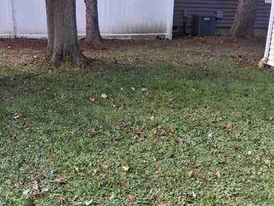 Lawn care service in Penfield, 14526