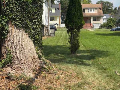 Lawn care service in Baltimore, 21207