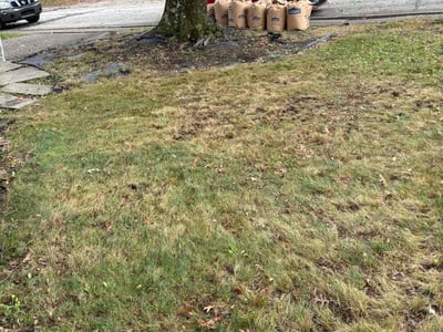 Lawn care service in Pittsburgh, 15221