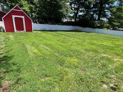 Lawn care service in Catonsville, 21228