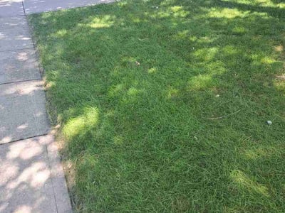 Lawn care service in Avon, 46123