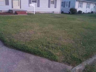Lawn care service in Newport News, 23601
