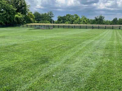 Lawn care service in Nicholasville, 40356