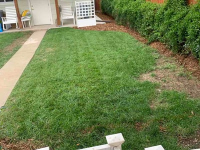 Lawn care service in Denver, 80220