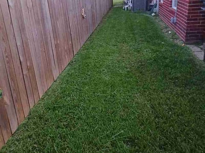 Lawn care service in Pearland, 77581