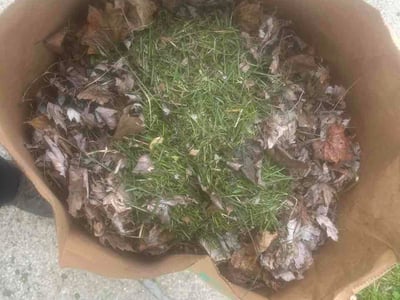 Lawn care service in Redford Township, 48239