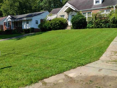 Lawn care service in Atlanta, 30310