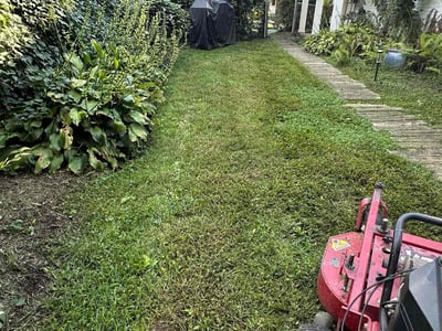 Lawn care service in Falls Church, 22042