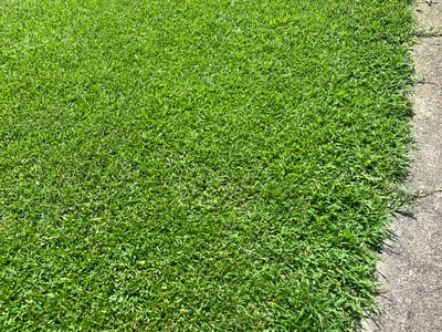 Lawn care service in Atlanta, 30318