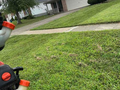 Lawn care service in Louisville, 40241
