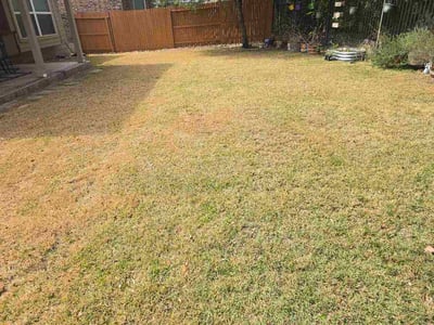 Lawn care service in Helotes, 78023
