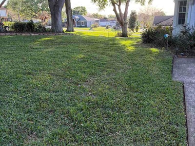 Lawn care service in Clermont, 34711