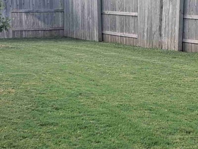 Lawn care service in Austin, 78744