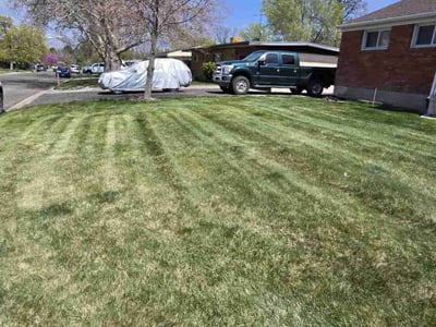 Lawn care service in Roy, 84067