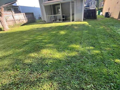 Lawn care service in Tucker, 30084
