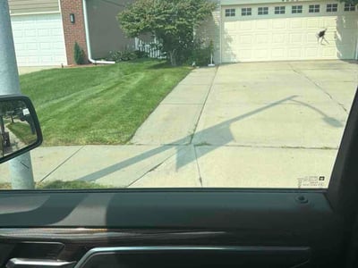Lawn care service in Omaha, 68164