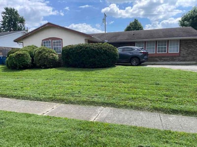 Lawn care service in Dayton, 45424