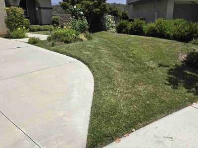 Lawn care service in Yucaipa, 92399