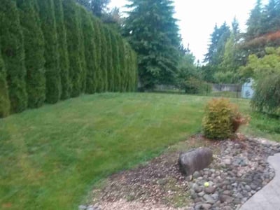 Lawn care service in , 