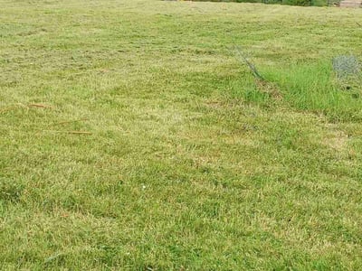 Lawn care service in St. Louis, 63108