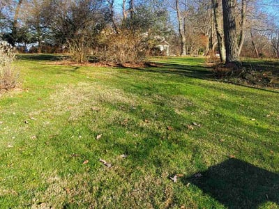 Lawn care service in , 