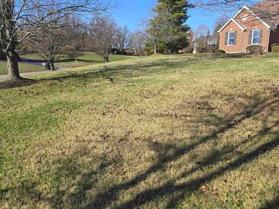 Lawn care service in Cincinnati, 45236