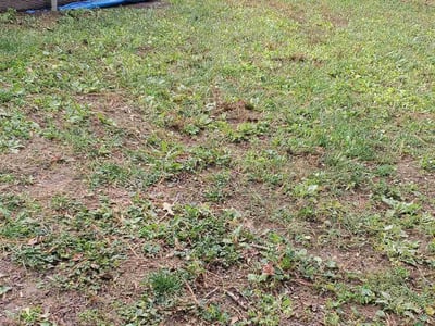 Lawn care service in Midlothian, 23112