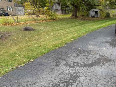 Lawn care service in Syracuse, 13207