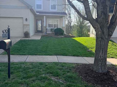 Lawn care service in O'Fallon, 63368
