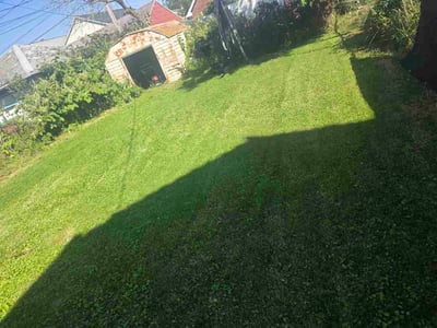 Lawn care service in Buffalo, 14225