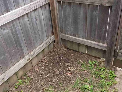 Lawn care service in St. Louis, 63109