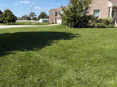 Lawn care service in Indianapolis, 46237