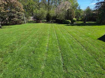 Lawn care service in Toledo, 43613