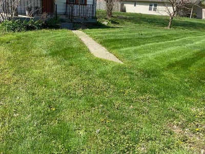 Lawn care service in Indianapolis, 46241