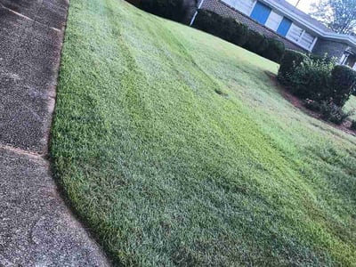 Lawn care service in Decatur, 30032