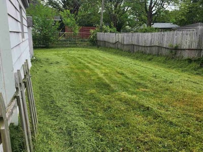 Lawn care service in Indianapolis, 46201
