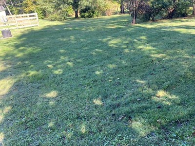 Lawn care service in Warrenton, 20186