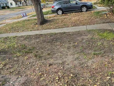Lawn care service in Minneapolis, 55426