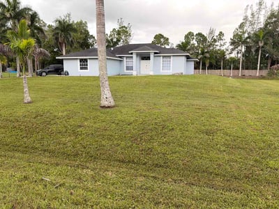 Lawn care service in West Palm Beach, 33412