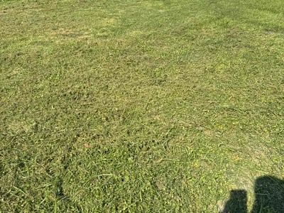Lawn care service in Tulsa, 74112