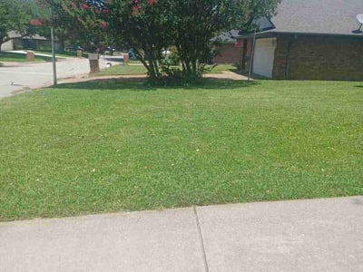 Lawn care service in Burleson, 76028