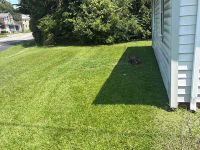 Lawn care service in Norfolk, 23509