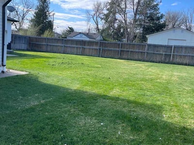 Lawn care service in Lakewood, 80226