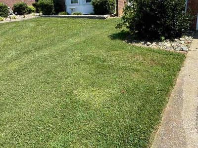 Lawn care service in Elizabethtown, 42701